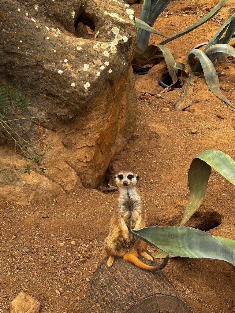 Prague zoo